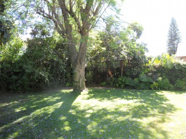 Shaded and private backyard with mature trees.
