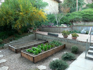 Part of the usable terraced yard with raised garden beds, pomegranate bush and patio area.