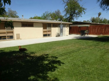 Spacious backyard with privacy fence and flowing green grass, fruit trees, and dedicated BBQ area on side.