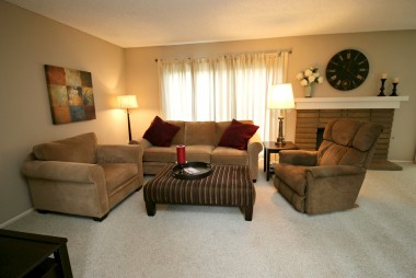 Living room with slider to backyard, and gas/wood-burning fireplace.