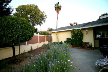 Nice little side yard with beautiful wild flowers and patio area for entertaining.