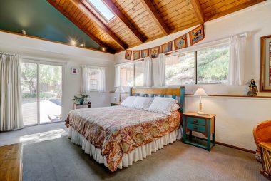 Enormous master bedroom with cathedral wood ceiling with sky lights and a slider, and view of wildlife hill behind the house.