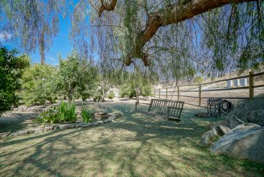 Large pepper tree with swing and natural boulders in the fruit tree orchard.