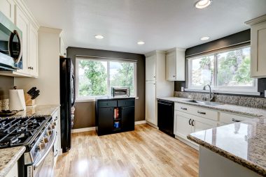 Remodeled kitchen with dishwasher, gas stove, built-in microwave, recessed lighting, and lots of natural light too. Refrigerator stays.
