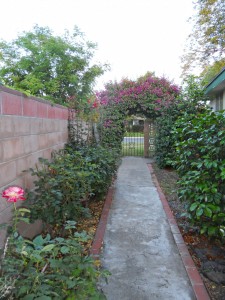 Gorgeous side yard with two arbors, rose bushes, greenery, private blockwall, and a wrought iron gate.