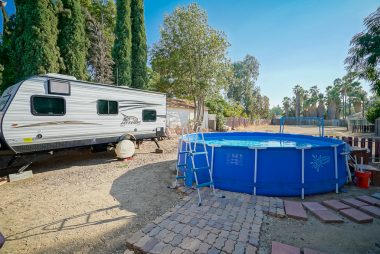 Spacious backyard with above ground pool (included), shed, and fruit trees.