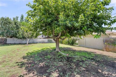 Spacious and fully fenced backyard with mature shade tree and room for pool, ADU, or garden.