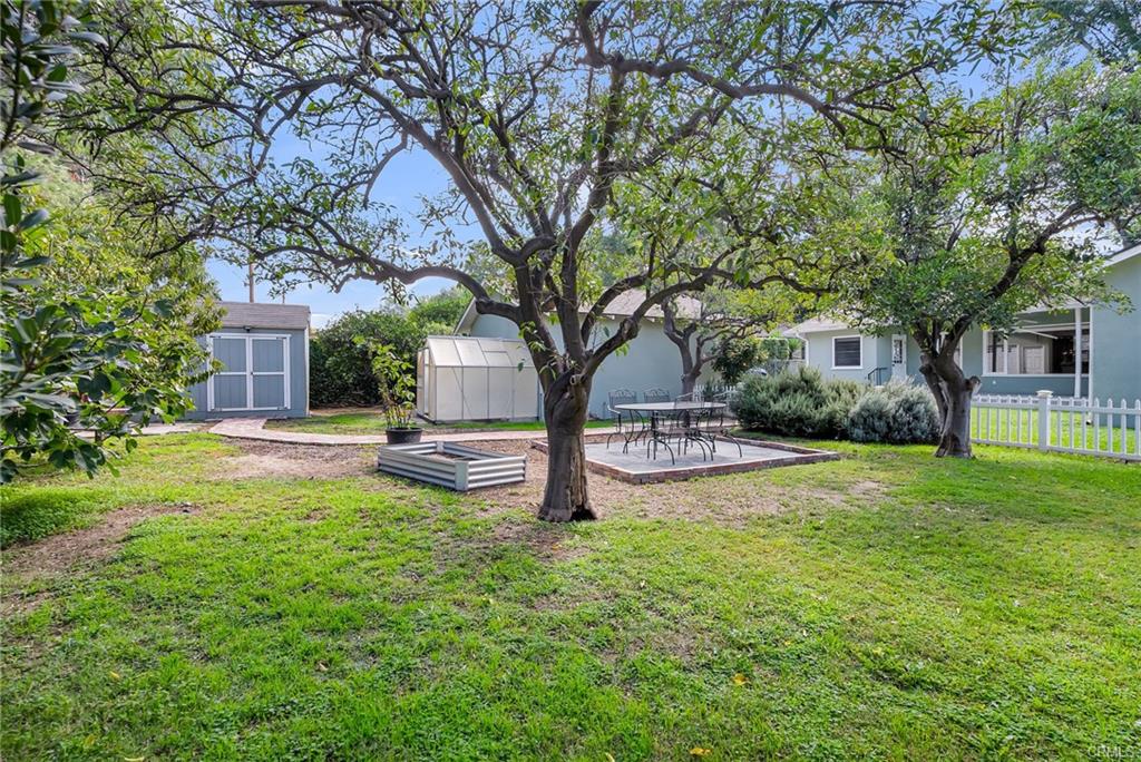 Whole backyard viewpoint with mature fruiting trees.