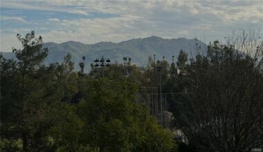View #4 - Box Springs mountain near UCR where wild burros roam.